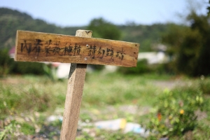 還是選擇5D2