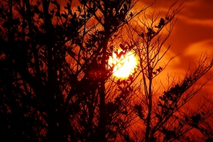 EF 100-300 F4.5~5.6的夕色夕溫-bevis
