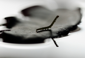 獨舞，和自己的影子！　［密佛格］