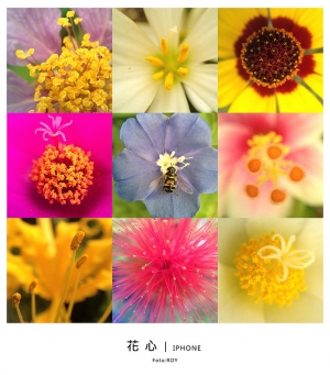 花心...iphone