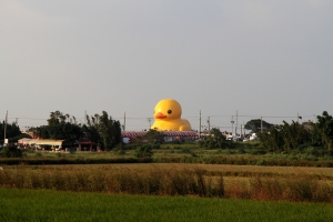 黃色小鴨 桃園站