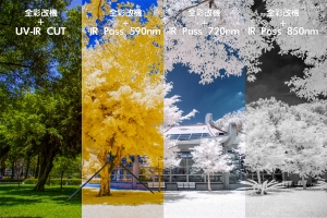 青年公園．全彩改機+四種IR濾鏡