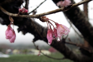 20180204-草坪頭.2