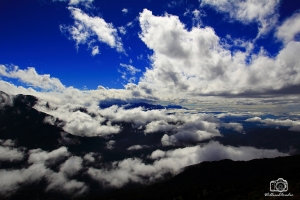 合歡風雲