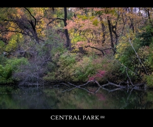 ::: Autunm in Central Park  紐約中央公園的秋景 [中下] by DV :::