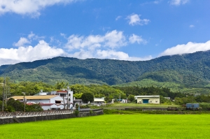 [台東]天堂路&伯朗大道