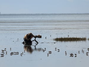 專注認真的鳥友