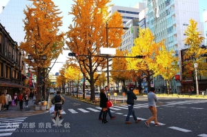 大阪 京都 奈良 5日自由行