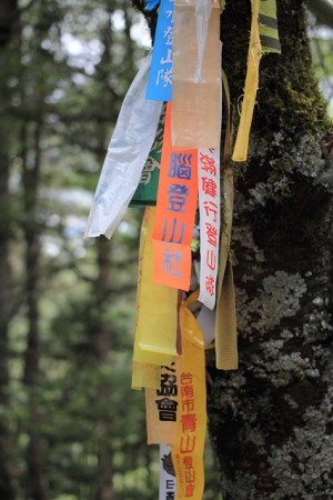 40MM2.8 去武嶺
