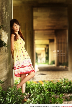 < 午後的Alice >