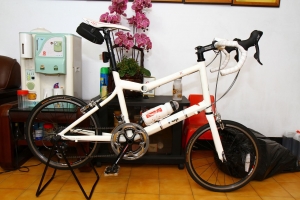 大高雄美利達經典百k