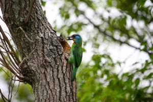 這一家系列-  回到當初 我的最愛