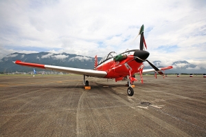 2007/06/17 花蓮空軍基地 (圖多)