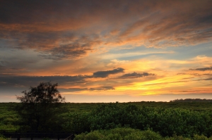 新豐紅樹林夕彩
