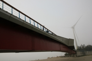 每個人心中都該有個龍鳳漁港