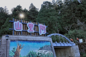 阿里山賞櫻花