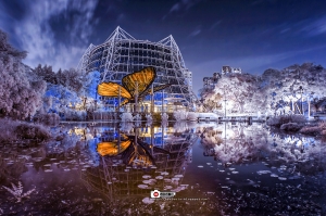 紅外線「夜景」拍攝 (第三彈)