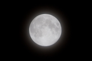 聽說今天的月亮叫藍月?