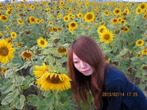 我家的笨柚子。一張流