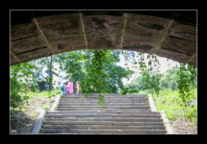 ::: The Summer of Central Park 中央公園-夏日 （下） by DV :::