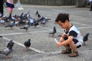 新莊運動公園、林記蓋飯