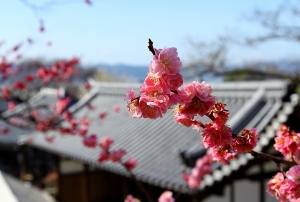 2013.03.京都.大阪