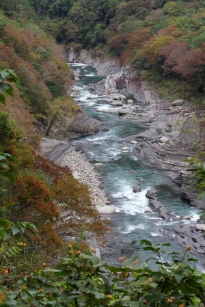 2012 尖石控溪吊橋賞楓趣
