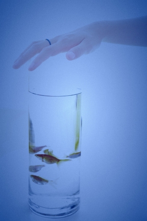 用感覺去記錄一種心情