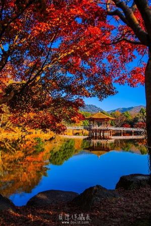 日本賞楓【秋涉隱深山】水啦～