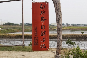 彈塗魚 VS 招潮蟹!
