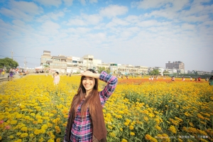 橋頭花海．花田囍事