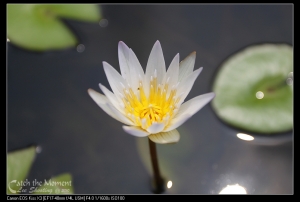 人生的第一支L鏡 17-40mm F4L 初拍請指教，請各位前輩看看有