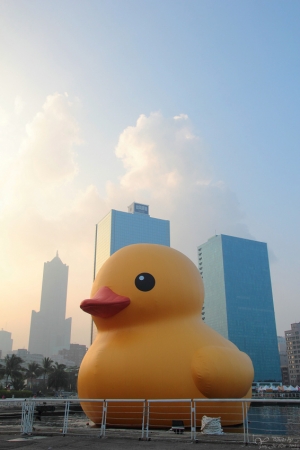 131011 Rubber Duck