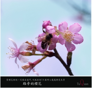 小妹愛微距,初次見面請多多指教喔