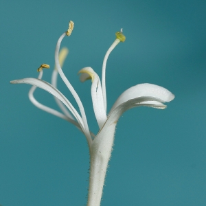 [Focus stacking] part1