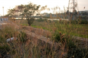 20140226 黃昏筆記