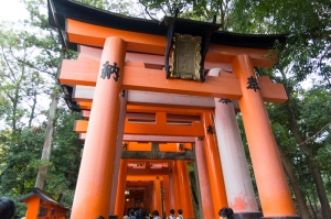 2016年京阪神奈自由櫻[23P]