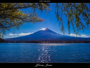 紅楓印山。20141114河口湖富士山