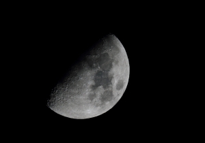 2012/8/25 -月娘寫真