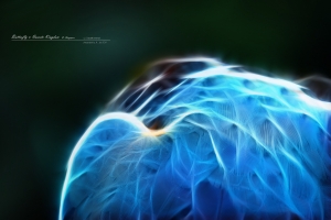 推薦一個Photoshop filter / 以及曝照新淘到的SONY NEX