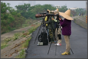 20140404-04-棲息地(圖多)