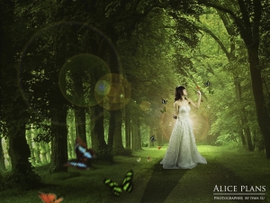 Alice plans