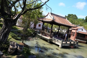 傾城之美(上)