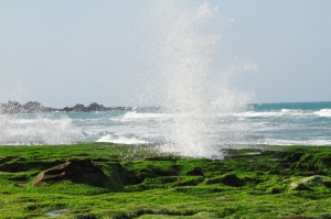 老梅石槽 - 海浪濤濤我不怕