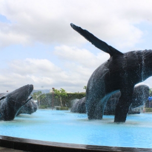 海生館之旅