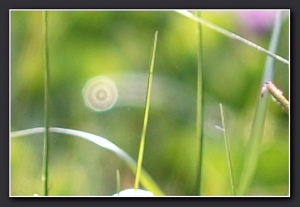 20140628 晨光散影
