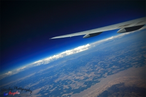 Los Angeles 2011 旅遊
