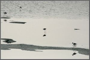 20140316 黃昏筆記