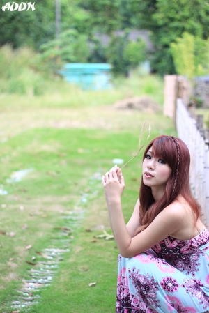 小花----------BY.死胖子ADDN