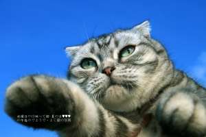 皇后~★寫真集★